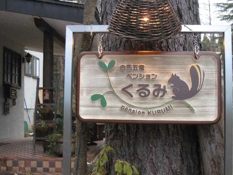 Hakuba Goryu Pension Kurumi Zewnętrze zdjęcie